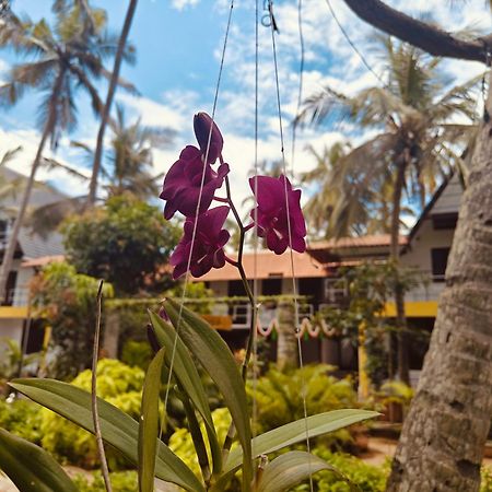 Pv Cottages - Serenity Beach Pondichéry Extérieur photo