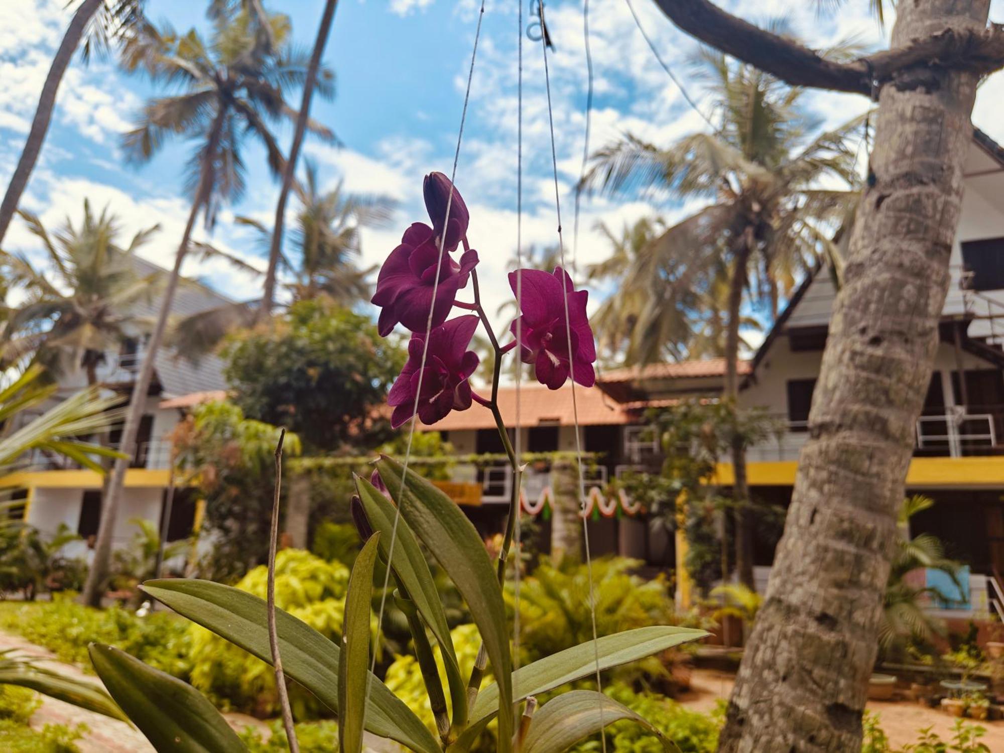 Pv Cottages - Serenity Beach Pondichéry Extérieur photo